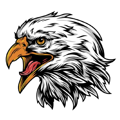 afiliado mercadolivre